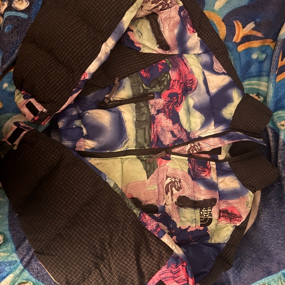 The North Face Multicolor Bomber Jacket